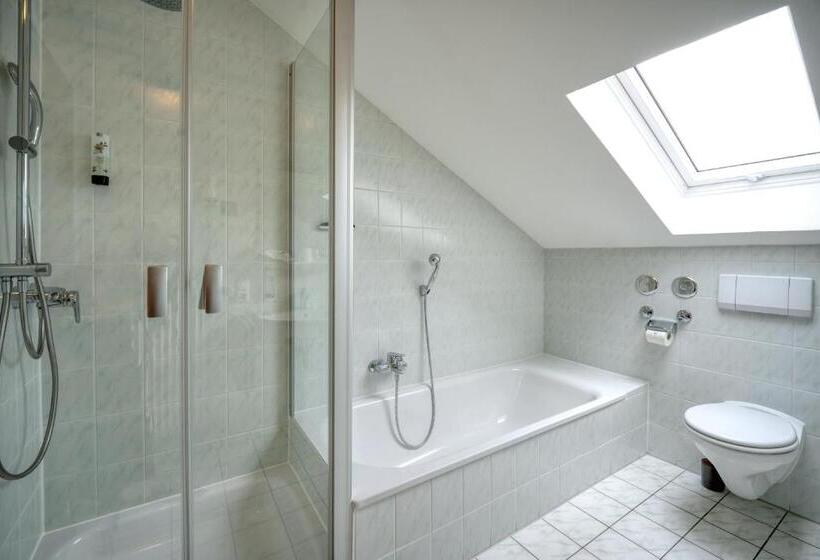 Номер Стандарт Трехместный, Schaider