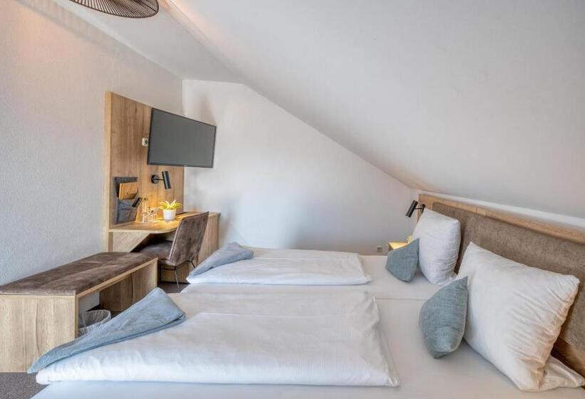 Номер Стандарт, Schaider