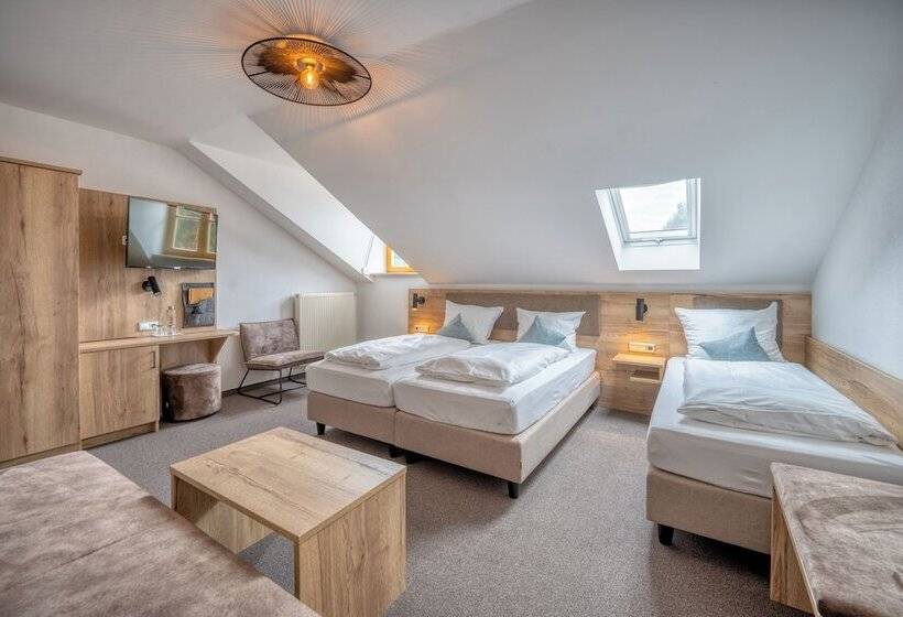 Номер Стандарт Трехместный, Schaider