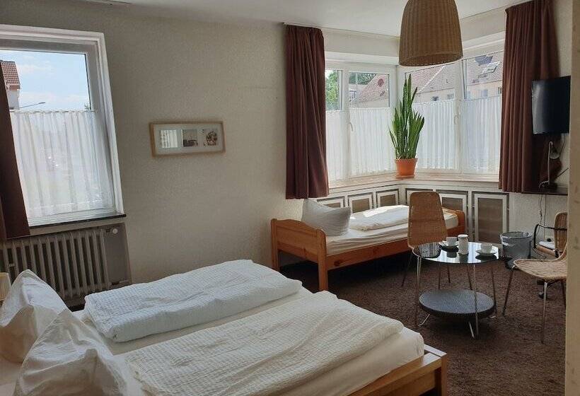 اتاق استاندارد سه نفره, Sud