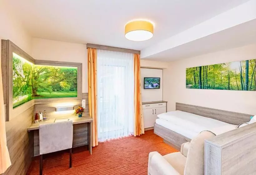 バルコニー付きシングルスタンダードルーム, Kur Und Wellnesshotel Förch