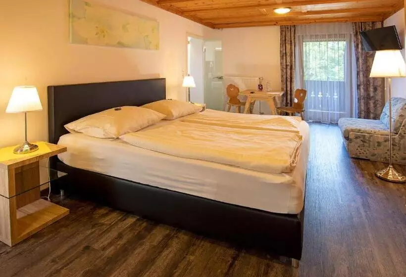マウンテンビュースタンダードルーム, Berg Hotel Weingarten Garni