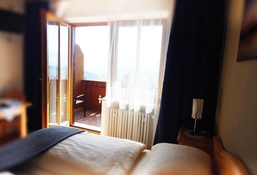 스탠다드 룸 호수 전망, Berg Hotel Weingarten Garni