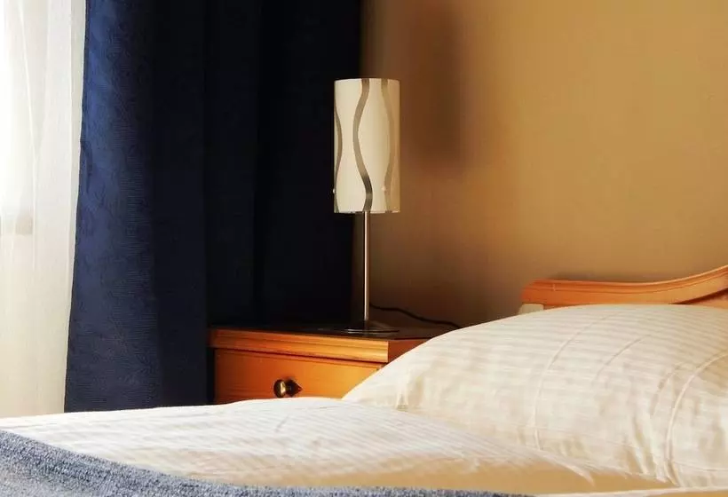 スタンダードシングルルーム, Berg Hotel Weingarten Garni
