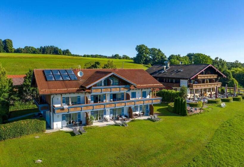 Апартаменты 1 Спальня с Видом, Berg Hotel Weingarten Garni