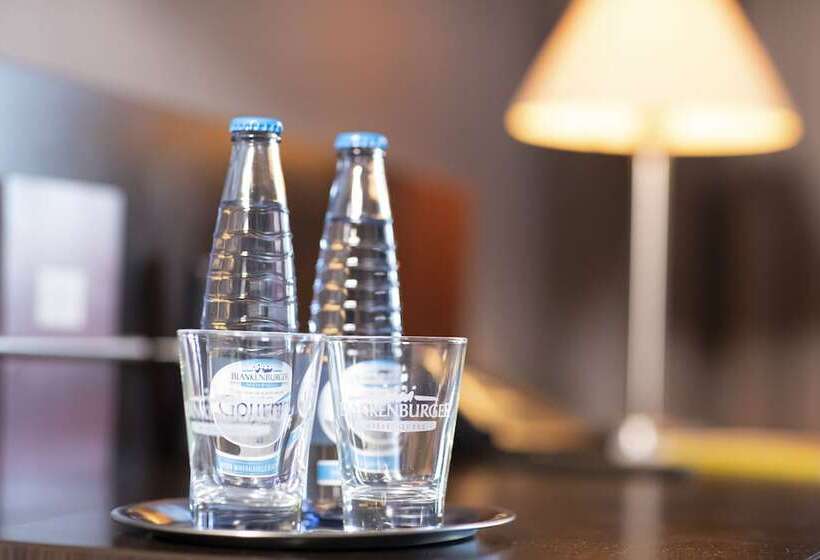 클래식 싱글 룸, Schlosshotel Blankenburg