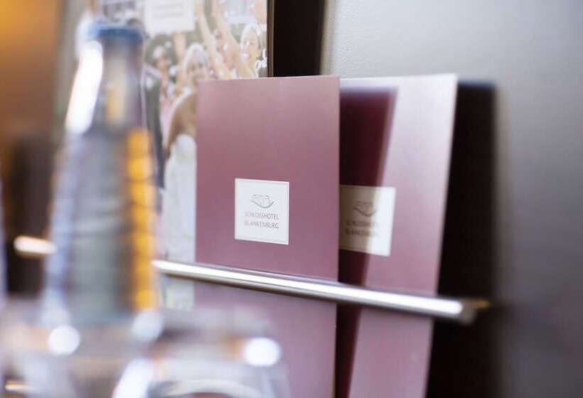 스탠다드 트리플 룸, Schlosshotel Blankenburg