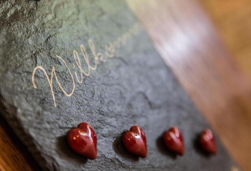 舒适型单人间, Eifel Hotel Schneider Am Maar Gmbh