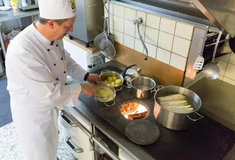スタンダードスタジオ, Eifel Hotel Schneider Am Maar Gmbh
