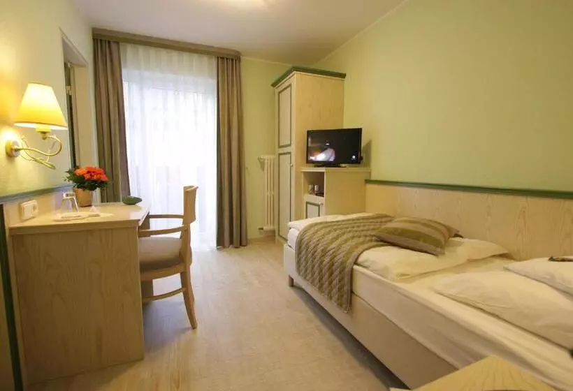 コンフォートシングルルーム, Eifel Hotel Schneider Am Maar Gmbh