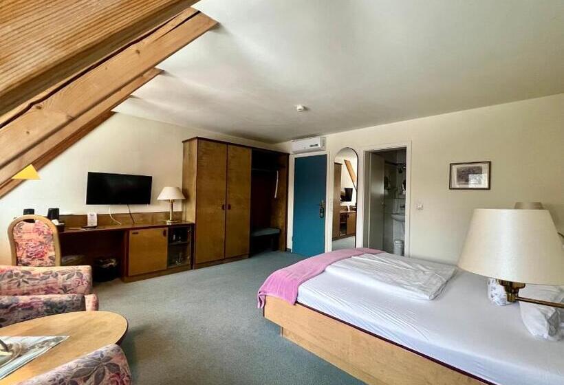 Номер Стандарт, Dein Gutshof Hotel & Ferienwohnungen