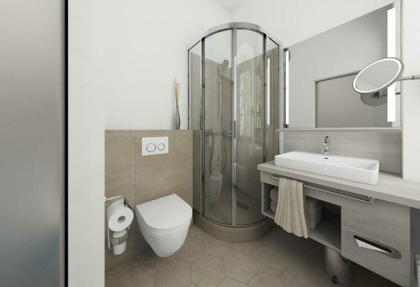 Номер Стандарт, Domhof