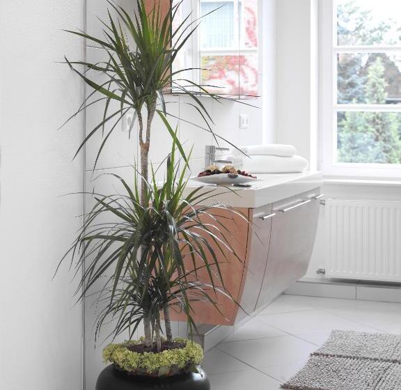 Номер Deluxe, Domicil Lebensart