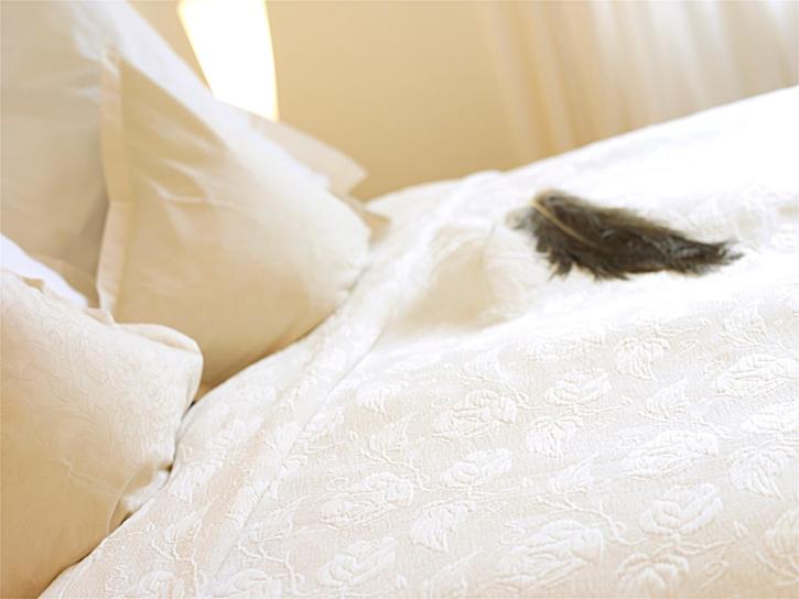 Номер Deluxe, Domicil Lebensart