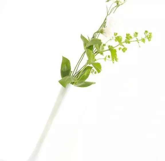 スーペリアールーム, Domicil Lebensart