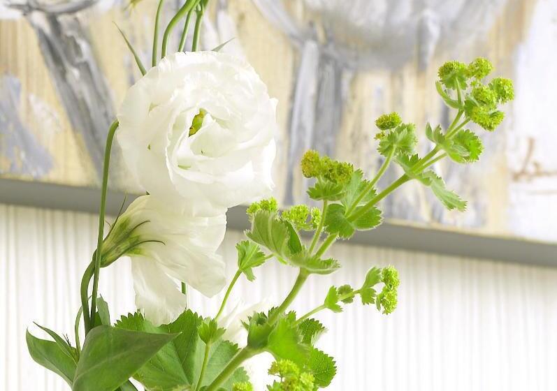 Номер Superior, Domicil Lebensart