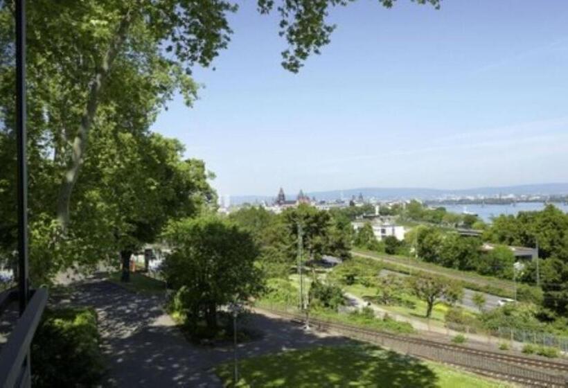 带四张床的标准工作室, Favorite Park