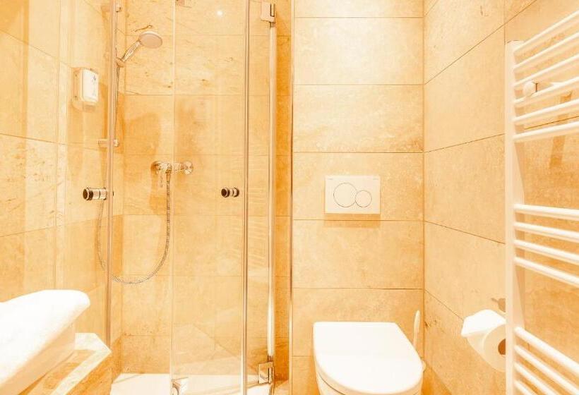 غرفة قياسية فردية مزودة بشُرفة, Friese