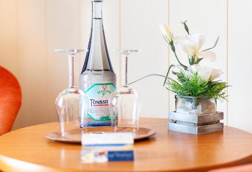 غرفة قياسية فردية مزودة بشُرفة, Friese