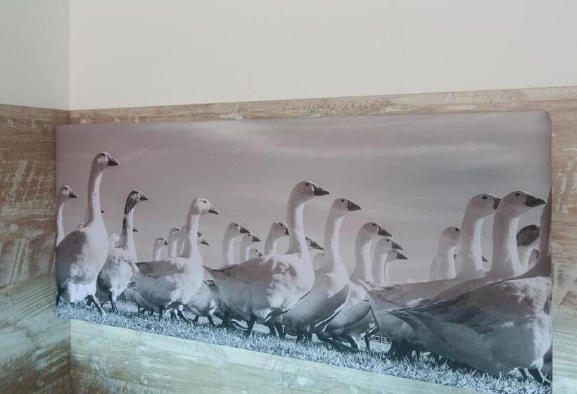 Номер Стандарт Индивидуальный, Gödecke