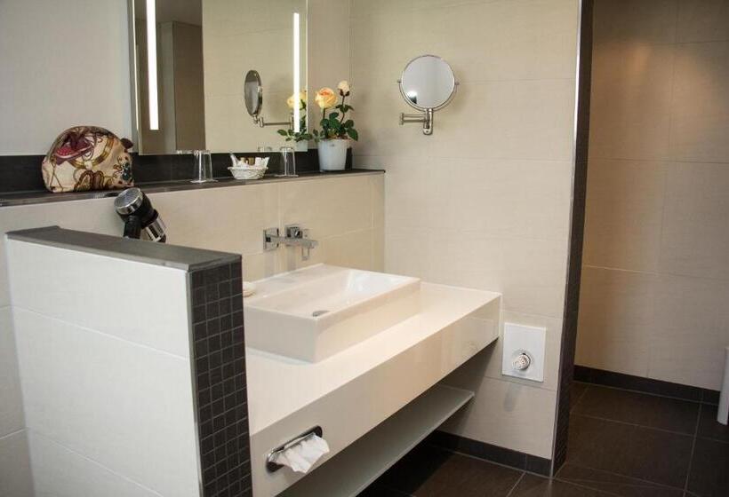 Номер Комфорт Индивидуальный, Gödecke