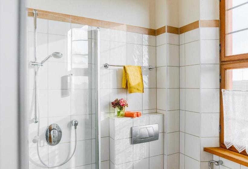 Номер Стандартный с Видом, Kollektur