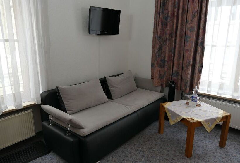 Номер Стандарт, Meridian