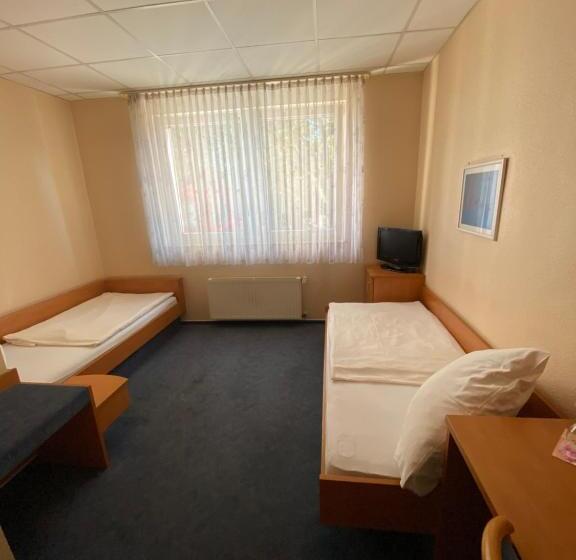 이코노미 룸, Montan