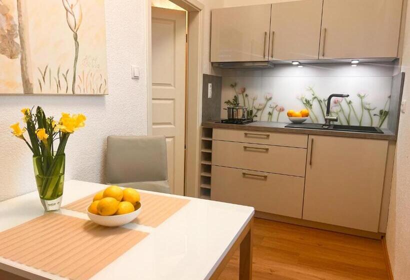 Апартаменты Deluxe 2 Спальни, Service Apartments Am Prinzenplatz   Superior