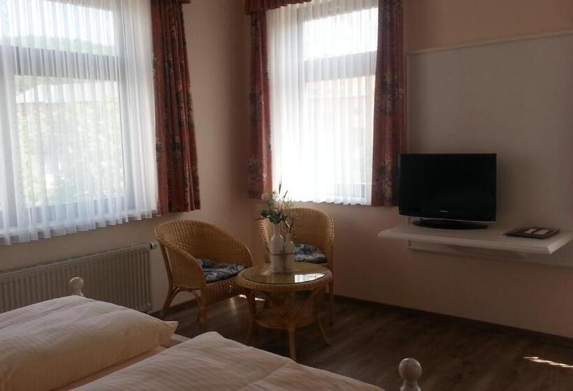 스탠다드 싱글 룸, Teich