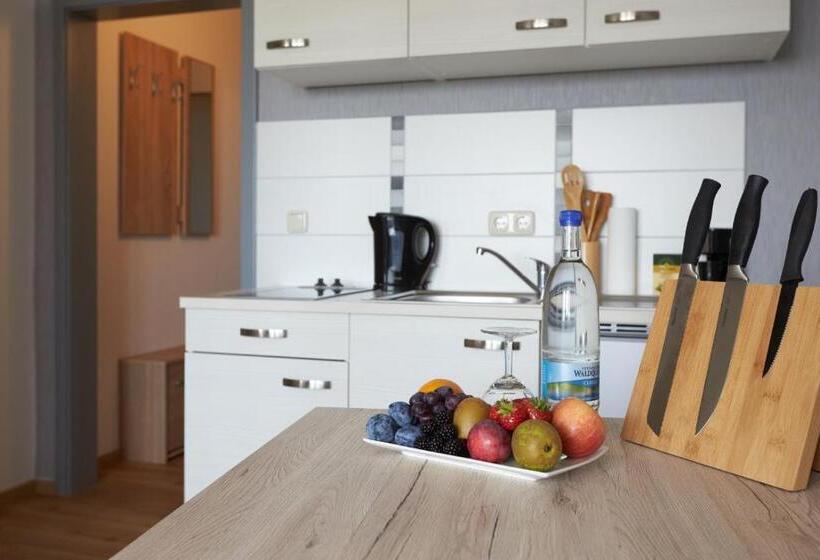 带1个卧室的带阳台的公寓, Weimarer Berg