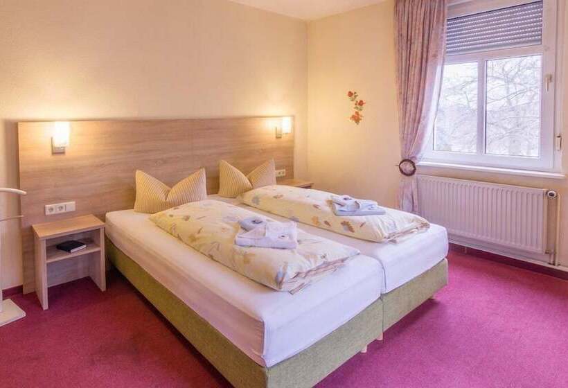 スタンダードシングルルーム, Zur Post In Wurzen