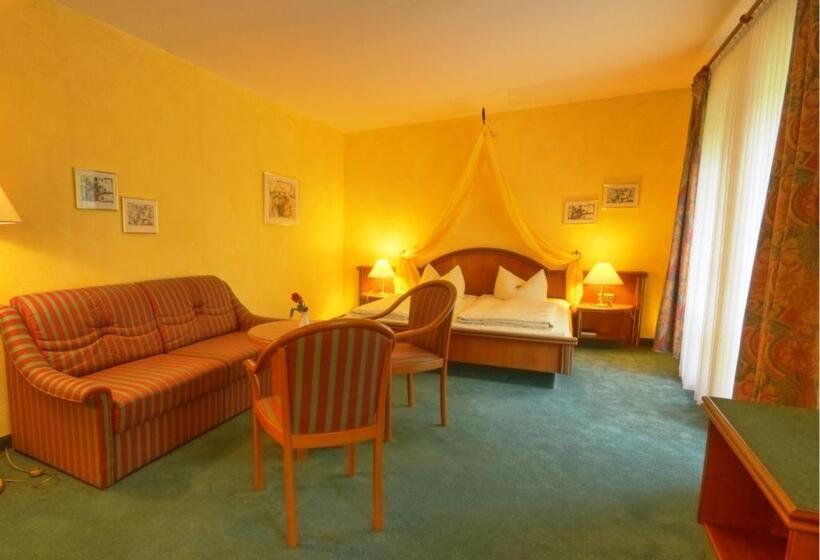 クラシックルーム, Meister Bär Hotel Vogtland