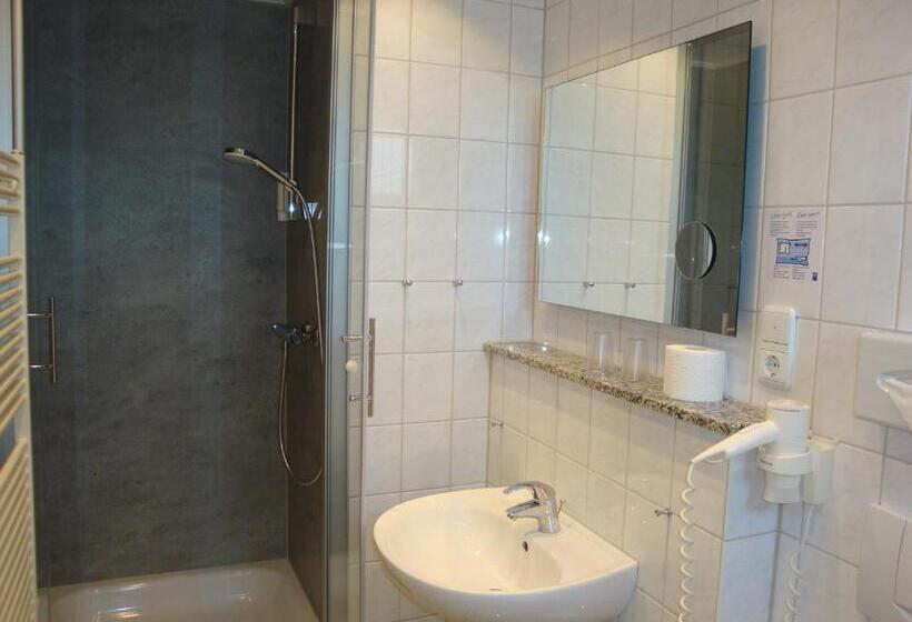 스탠다드 룸, Bellevue