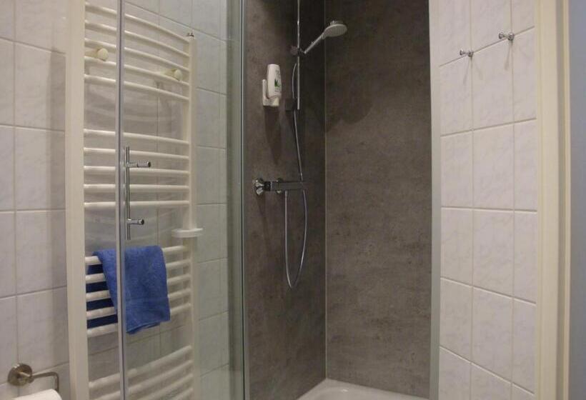 스탠다드 룸, Bellevue