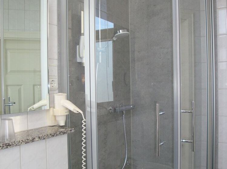 스탠다드 싱글 룸, Bellevue