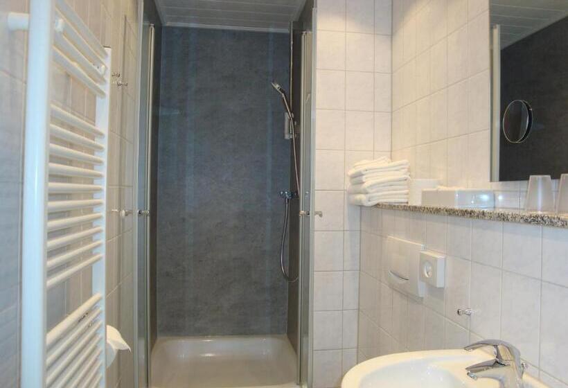 스탠다드 룸, Bellevue