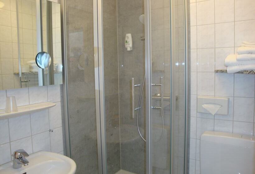 스탠다드 룸, Bellevue