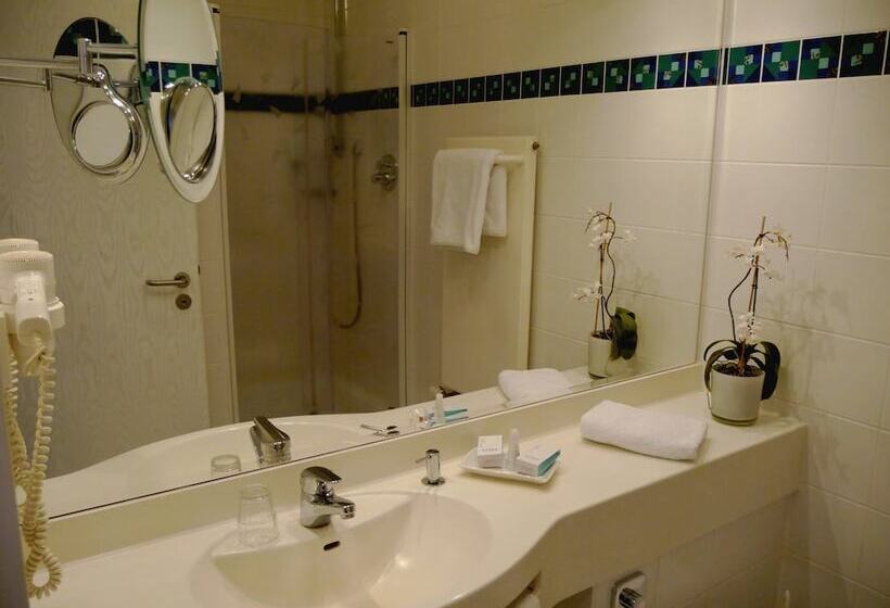 חדר סטנדרט יחיד, Business Hotel Artes