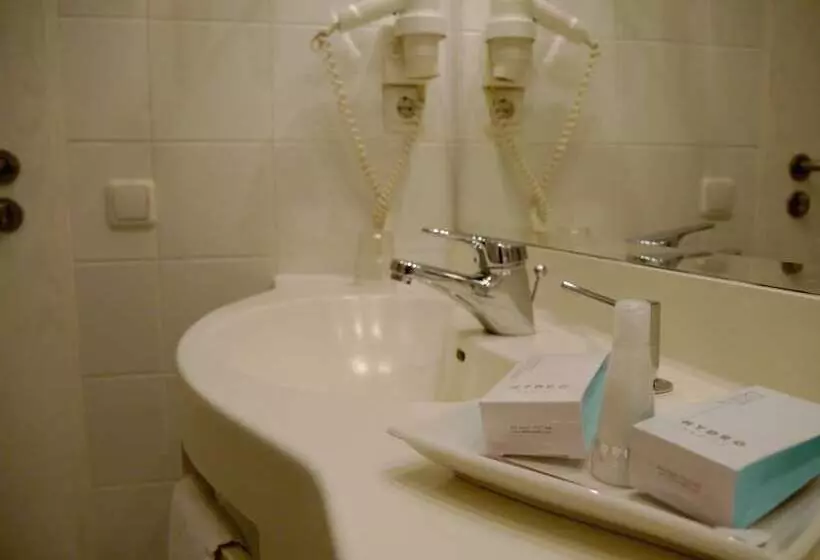 コンフォートシングルルーム, Business Hotel Artes