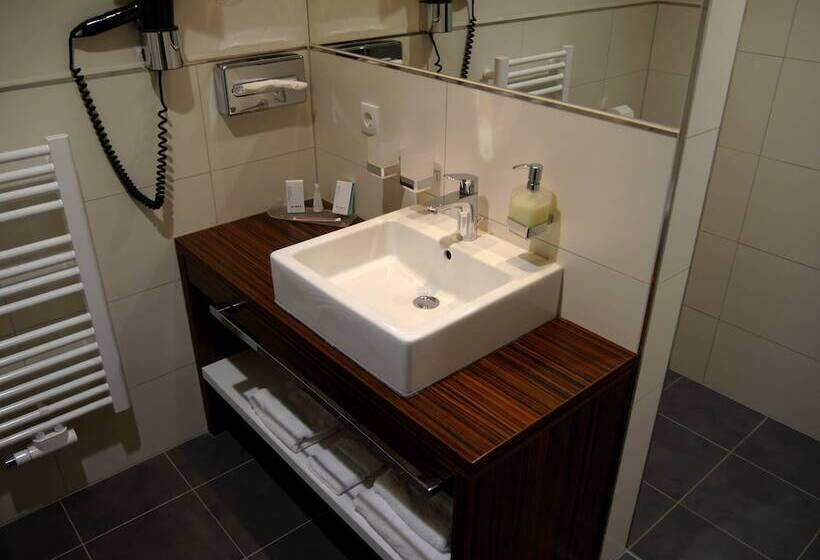 חדר ביזנס, Business Hotel Artes