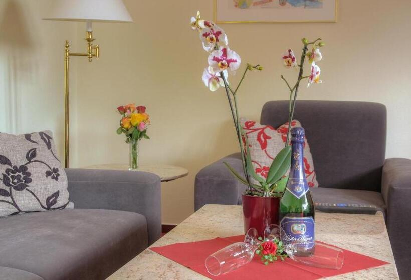 , Hafen Hitzacker Elbe