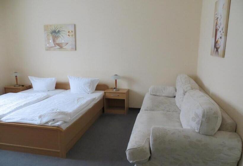 Номер Стандарт, Merkur Garni