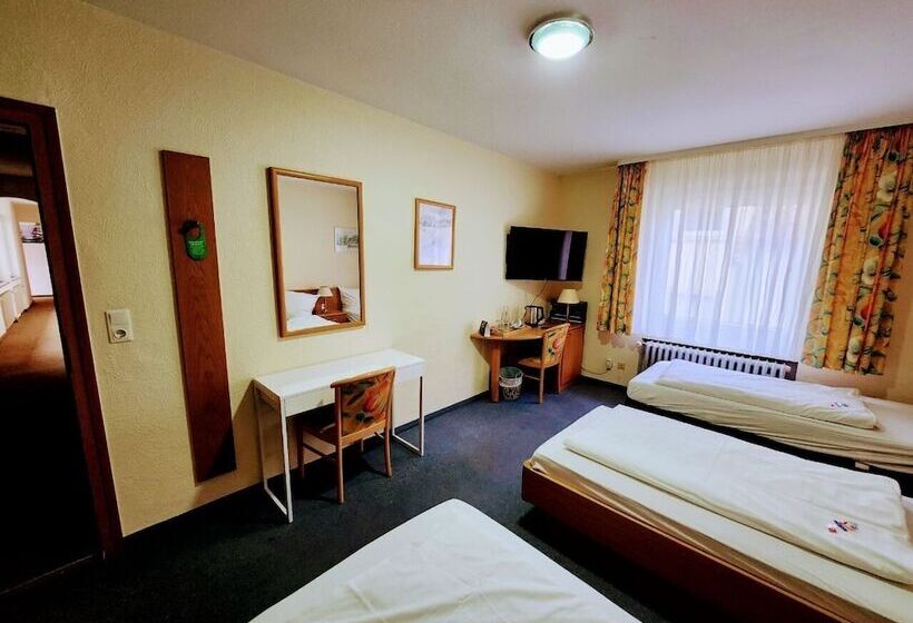 اتاق استاندارد سه نفره, Schiff