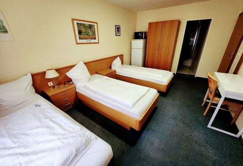 اتاق استاندارد سه نفره, Schiff