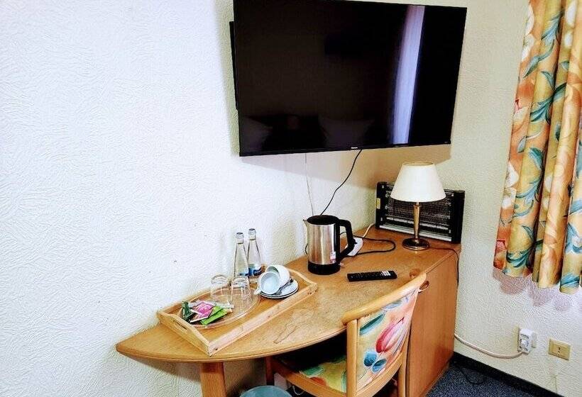 اتاق استاندارد سه نفره, Schiff