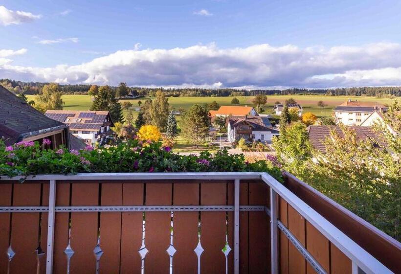 Номер Комфорт, Wellnesshotel Sonnenhof & Sonnhalde