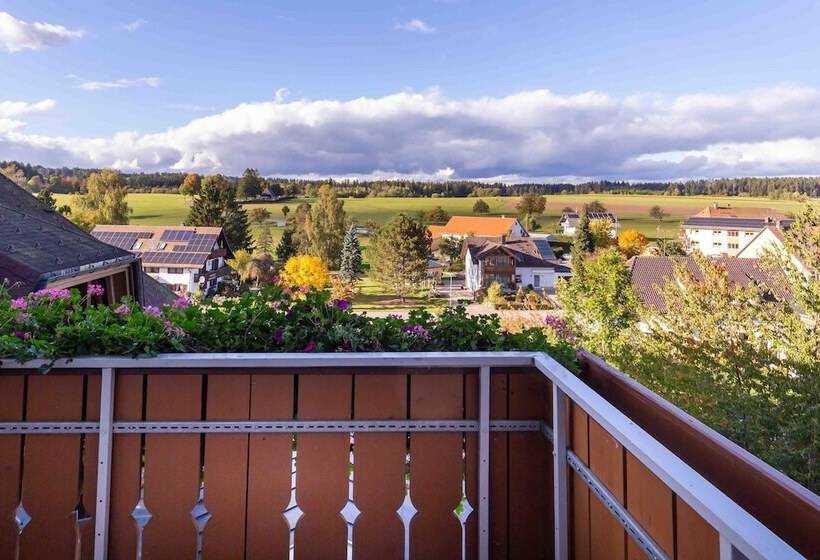 Номер Комфорт, Wellnesshotel Sonnenhof & Sonnhalde
