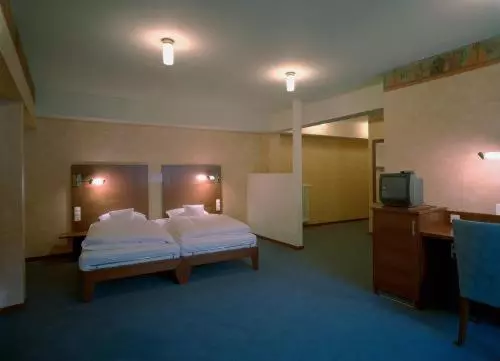 スタンダードシングルルーム, Landhotel Zum Schwanen Mit Restaurant Mona Liza