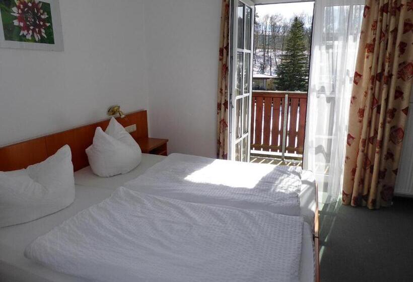 Номер Стандарт с Балконом, Parkhotel Bad Brambach